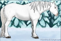 Horse Color:White Spotted Chocolate Palomino Sabino Appaloosa 