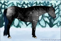 Horse Color:ERROR: UNKNOWN ANOMALY