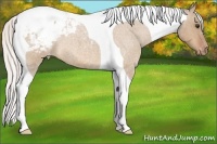 Horse Color:Silver Bay Roan Dun Tobiano Varnish 