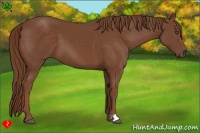 Horse Color:Chestnut Frame