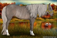 Horse Color:Silver Black Rabicano