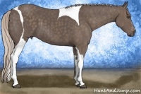 Horse Color:Silver Black Splash Tobiano  Brindle