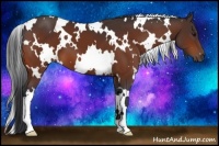 Horse Color:White Spotted Bay 