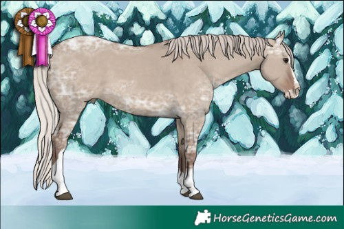 Horse Color:Silver Grullo Ice Sabino Splash Tobiano 