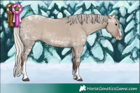 Horse Color:Silver Grullo Ice Sabino Splash Tobiano