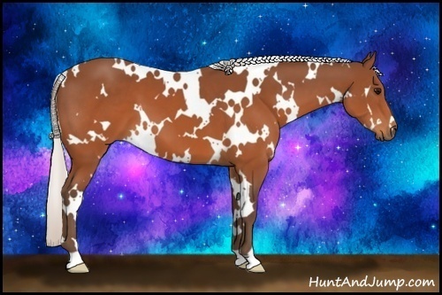 Horse Color:White Spotted Silver Brown