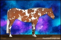 Horse Color:White Spotted Silver Brown