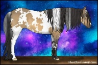 Horse Color:White Spotted Buckskin Dun 