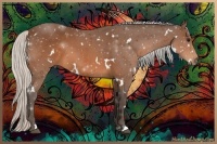 Horse Color:White Spotted Silver Brown 