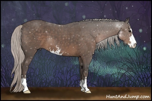 Horse Color:Silver Black Sabino 