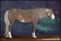 Horse Color:Silver Black Sabino