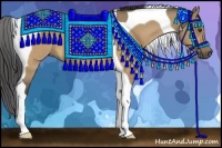 Horse Color:Buckskin Dun Tobiano 