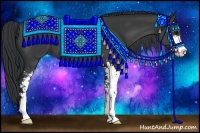 Horse Color:Black Sabino