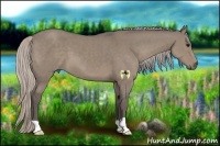 Horse Color:Silver Grullo