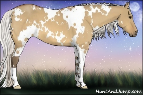 Horse Color:White Spotted Silver Buckskin Dun