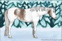 Horse Color:White Spotted Silver Black Splash Tobiano 