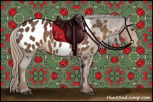 Horse Color:Liver Chestnut Appaloosa Rabicano 