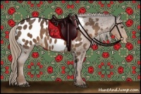 Horse Color:Liver Chestnut Appaloosa Rabicano