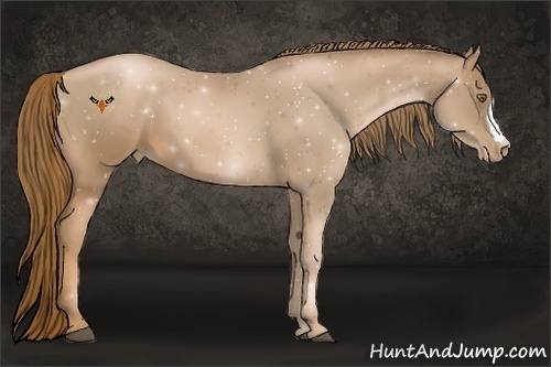 Horse Color:Liver Chestnut Pearl