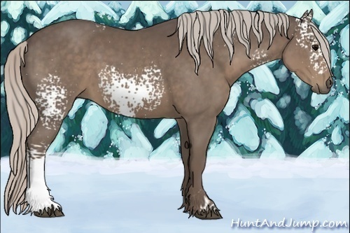 Horse Color:White Spotted Silver Black 