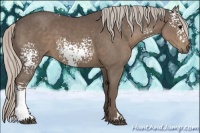 Horse Color:White Spotted Silver Black 