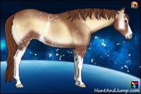 Horse Color:White Spotted Red Onyx 