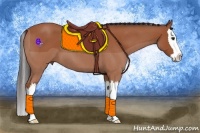 Horse Color:Bay Roan Splash