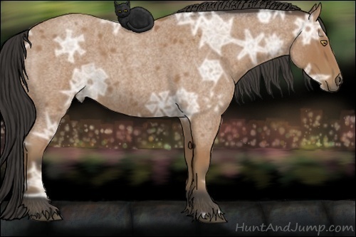 Horse Color:Buckskin Ice Roan 