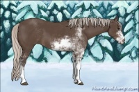 Horse Color:Silver Black Sabino 