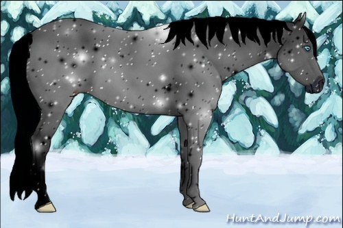 Horse Color:ERROR: UNKNOWN ANOMALY