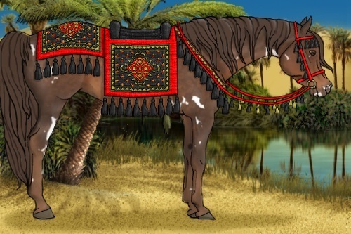 Horse Color:White Spotted Liver Chestnut