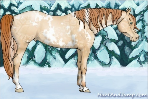 Horse Color:White Spotted Sable Champagne Ice Pearl 