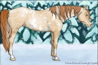Horse Color:White Spotted Sable Champagne Ice Pearl