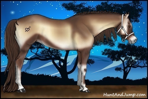 Horse Color:Red Onyx 