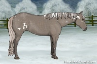 Horse Color:White Spotted Silver Grullo Sabino Frame
