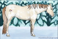 Horse Color:White Spotted Smoky Grullo Pearl