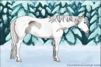 Horse Color:Silver Black Sabino Splash Tobiano