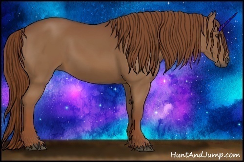 Horse Color:Chestnut Sabino 