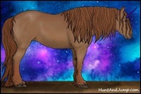 Horse Color:Chestnut Sabino