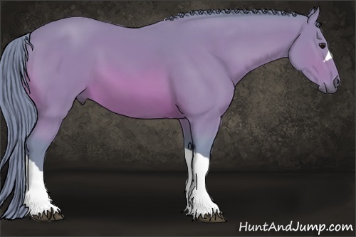 Horse Color:Watercolor Bay 