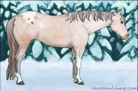 Horse Color:Bay Tobiano Varnish 