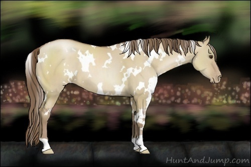Horse Color:White Spotted Grullo Pearl 