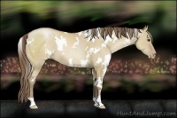 Horse Color:White Spotted Grullo Pearl 