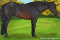 Horse Color:Brown 