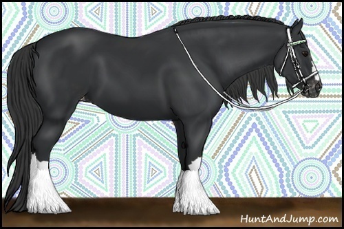 Horse Color:Black Varnish