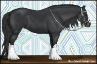 Horse Color:Black Varnish