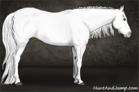 Horse Color:White Spotted Buckskin Chinchilla Ice Onyx Tobiano Varnish 