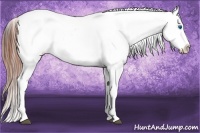 Horse Color:White Spotted Bay Roan Dun Splash Blanket 