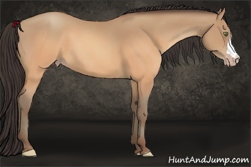 Horse Color:Sable Champagne 