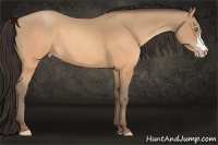 Horse Color:Sable Champagne 